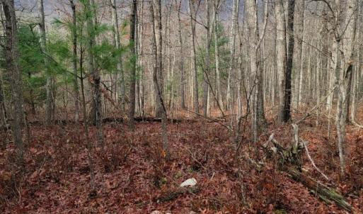 Photo #23 of tbd MIRACLE RIDGE RD, ELKTON, VA 35.9 acres