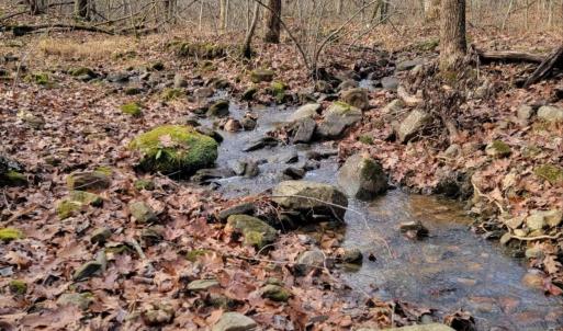 Photo #24 of tbd MIRACLE RIDGE RD, ELKTON, VA 35.9 acres