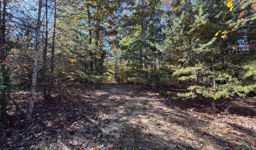 Photo #27 of tbd MIRACLE RIDGE RD, ELKTON, VA 35.9 acres