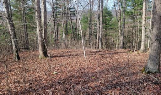 Photo #22 of tbd MIRACLE RIDGE RD, ELKTON, VA 35.9 acres