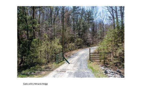 Photo #12 of tbd MIRACLE RIDGE RD, ELKTON, VA 35.9 acres
