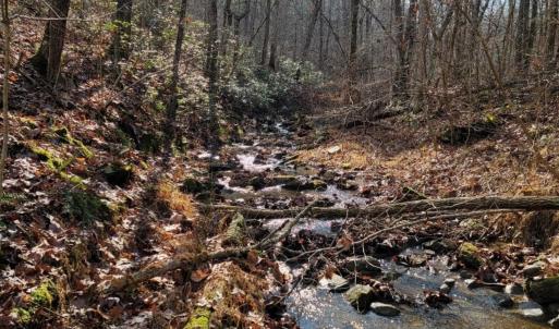 Photo #29 of tbd MIRACLE RIDGE RD, ELKTON, VA 35.9 acres