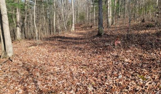 Photo #10 of tbd MIRACLE RIDGE RD, ELKTON, VA 35.9 acres