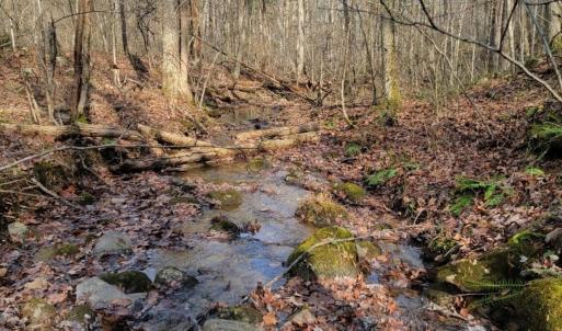 Photo #31 of tbd MIRACLE RIDGE RD, ELKTON, VA 35.9 acres