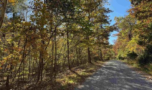 Photo #2 of tbd MIRACLE RIDGE RD, ELKTON, VA 35.9 acres