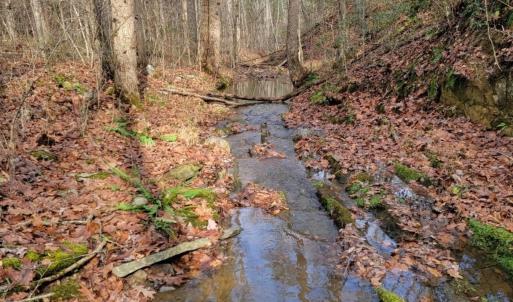 Photo #25 of tbd MIRACLE RIDGE RD, ELKTON, VA 35.9 acres