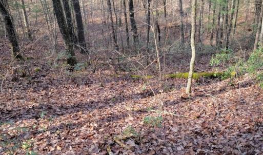 Photo #20 of tbd MIRACLE RIDGE RD, ELKTON, VA 35.9 acres