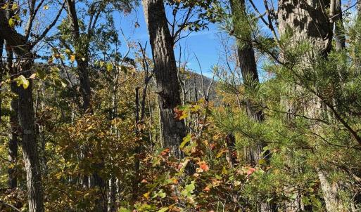 Photo #4 of tbd MIRACLE RIDGE RD, ELKTON, VA 35.9 acres