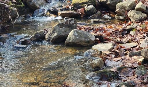 Photo #9 of tbd MIRACLE RIDGE RD, ELKTON, VA 35.9 acres