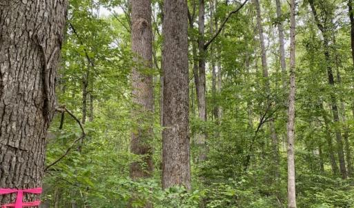 Photo #2 of Lot 2 WALDROP CHURCH RD, LOUISA, VA 3.3 acres