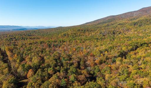 Photo #46 of 1225 LITTLE CALF PASTURE HWY, SWOOPE, VA 20.3 acres