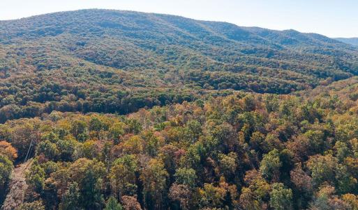 Photo #42 of 1225 LITTLE CALF PASTURE HWY, SWOOPE, VA 20.3 acres
