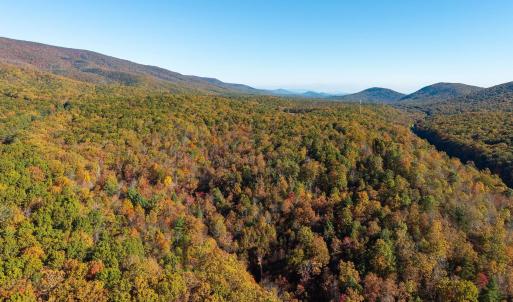 Photo #32 of 1225 LITTLE CALF PASTURE HWY, SWOOPE, VA 20.3 acres