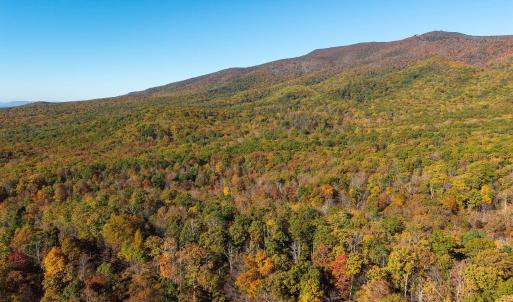 Photo #51 of 1225 LITTLE CALF PASTURE HWY, SWOOPE, VA 20.3 acres