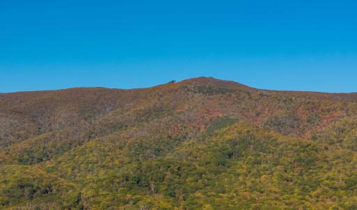 Photo #18 of 1225 LITTLE CALF PASTURE HWY, SWOOPE, VA 20.3 acres