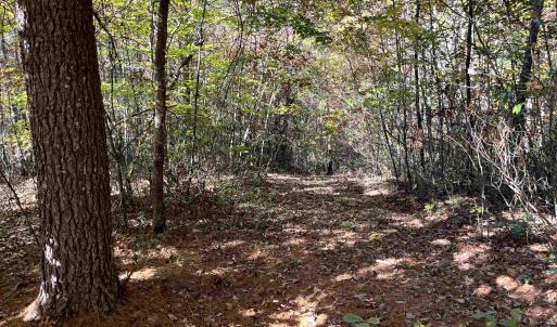 Photo #5 of 1225 LITTLE CALF PASTURE HWY, SWOOPE, VA 20.3 acres