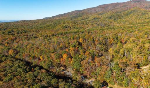 Photo #6 of 1225 LITTLE CALF PASTURE HWY, SWOOPE, VA 20.3 acres