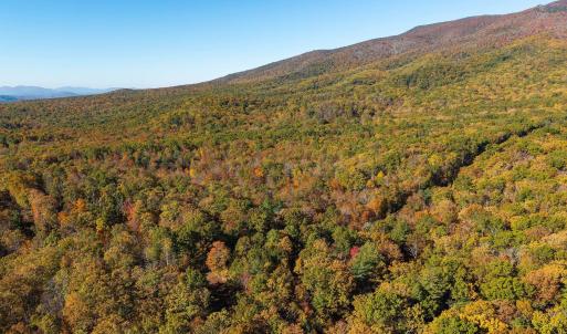 Photo #47 of 1225 LITTLE CALF PASTURE HWY, SWOOPE, VA 20.3 acres