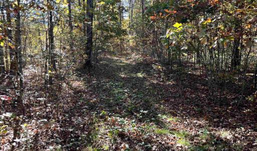 Photo #25 of 1225 LITTLE CALF PASTURE HWY, SWOOPE, VA 20.3 acres