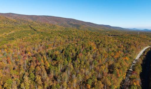 Photo #26 of 1225 LITTLE CALF PASTURE HWY, SWOOPE, VA 20.3 acres