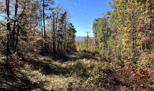 Photo #7 of 1225 LITTLE CALF PASTURE HWY, SWOOPE, VA 20.3 acres