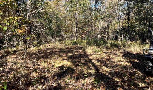 Photo #33 of 1225 LITTLE CALF PASTURE HWY, SWOOPE, VA 20.3 acres