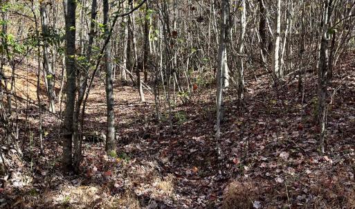 Photo #37 of 1225 LITTLE CALF PASTURE HWY, SWOOPE, VA 20.3 acres