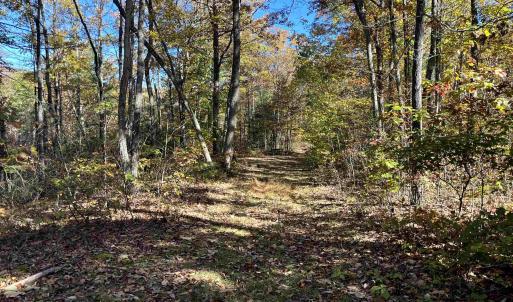Photo #21 of 1225 LITTLE CALF PASTURE HWY, SWOOPE, VA 20.3 acres