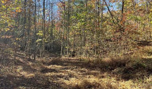 Photo #19 of 1225 LITTLE CALF PASTURE HWY, SWOOPE, VA 20.3 acres