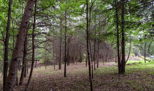 Photo #4 of Lot 69 PALMER PL, RUCKERSVILLE, VA 2.7 acres