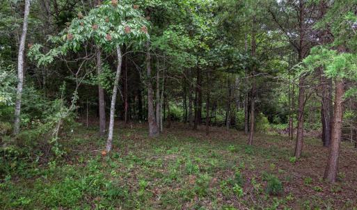 Photo #3 of Lot 69 PALMER PL, RUCKERSVILLE, VA 2.7 acres