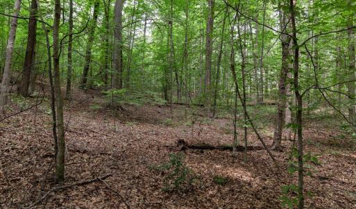 Photo #6 of Lot 69 PALMER PL, RUCKERSVILLE, VA 2.7 acres