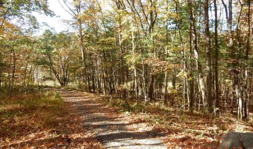 Photo #4 of 21 SHEPHERDS TRL, HOT SPRINGS, VA 2.3 acres