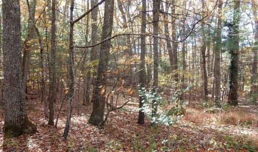 Photo #2 of 21 SHEPHERDS TRL, HOT SPRINGS, VA 2.3 acres