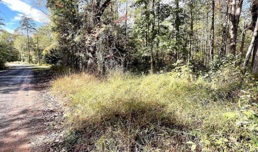 Photo #11 of RIVERDALE RD, STANARDSVILLE, VA 6.0 acres