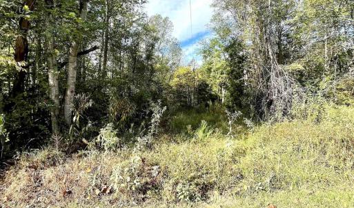 Photo #9 of RIVERDALE RD, STANARDSVILLE, VA 6.0 acres