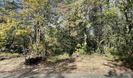 Photo #3 of RIVERDALE RD, STANARDSVILLE, VA 6.0 acres
