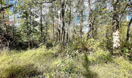 Photo #6 of RIVERDALE RD, STANARDSVILLE, VA 6.0 acres