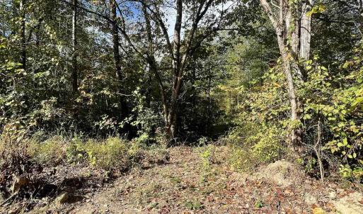 Photo #7 of RIVERDALE RD, STANARDSVILLE, VA 6.0 acres