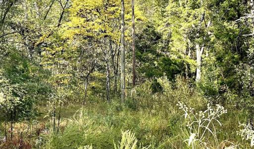 Photo #10 of RIVERDALE RD, STANARDSVILLE, VA 6.0 acres