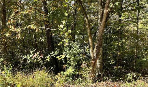 Photo #8 of RIVERDALE RD, STANARDSVILLE, VA 6.0 acres