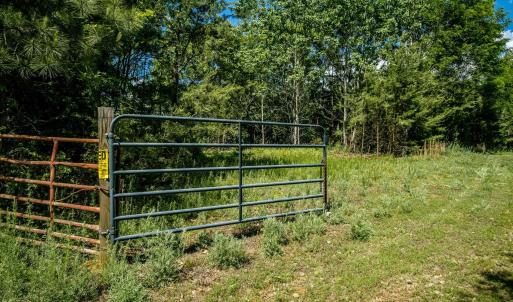 Photo #6 of Lot 1 GREEN CREEK RD, SCHUYLER, VA 12.3 acres