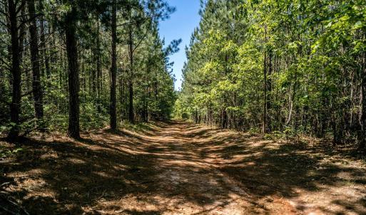 Photo #5 of Lot 1 GREEN CREEK RD, SCHUYLER, VA 12.3 acres