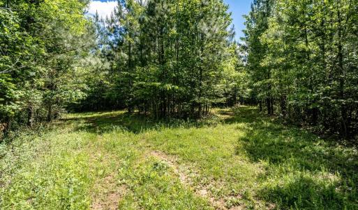 Photo #4 of Lot 1 GREEN CREEK RD, SCHUYLER, VA 12.3 acres