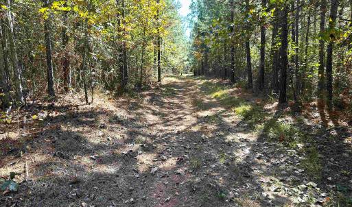 Photo #4 of Lot 2 GREEN CREEK RD, SCHUYLER, VA 8.5 acres