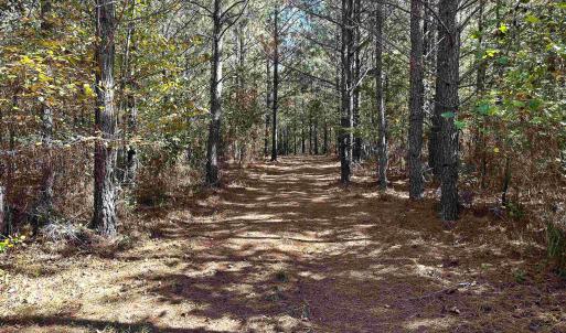 Photo #5 of Lot 2 GREEN CREEK RD, SCHUYLER, VA 8.5 acres