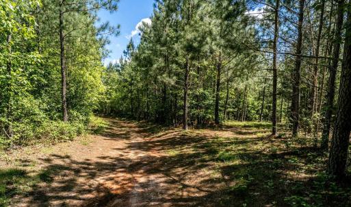 Photo #1 of Lot 3 GREEN CREEK RD, SCHUYLER, VA 30.7 acres