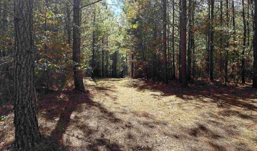 Photo #10 of Lot 3 GREEN CREEK RD, SCHUYLER, VA 30.7 acres