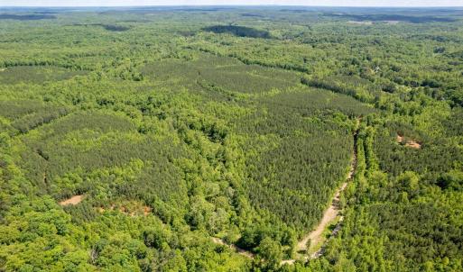 Photo #12 of Lot 3 GREEN CREEK RD, SCHUYLER, VA 30.7 acres