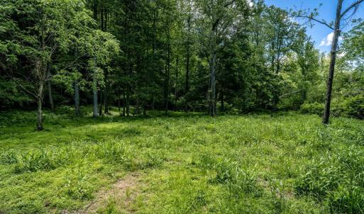 Photo #4 of Lot 3 GREEN CREEK RD, SCHUYLER, VA 30.7 acres